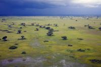Delta of the Okavango River 5